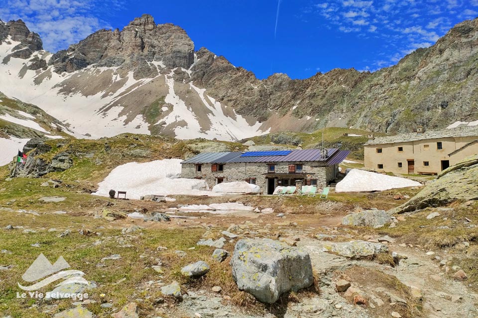 IMG 20240706 070546 960