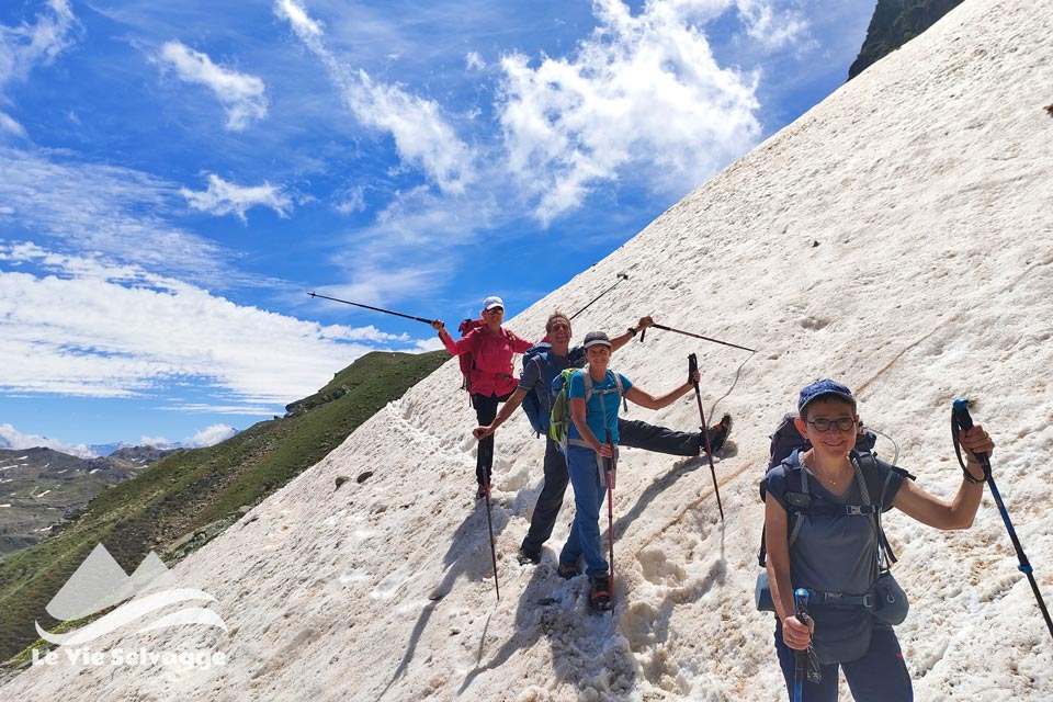 IMG 20240706 154646 960