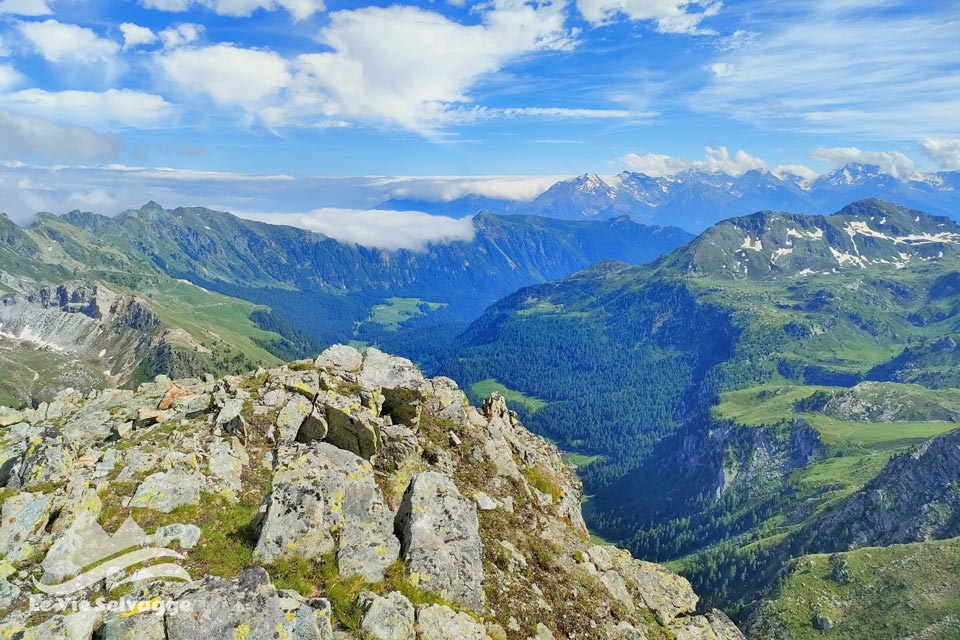 IMG 20240706 155939 960