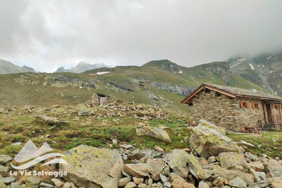 IMG 20240706 160804 960