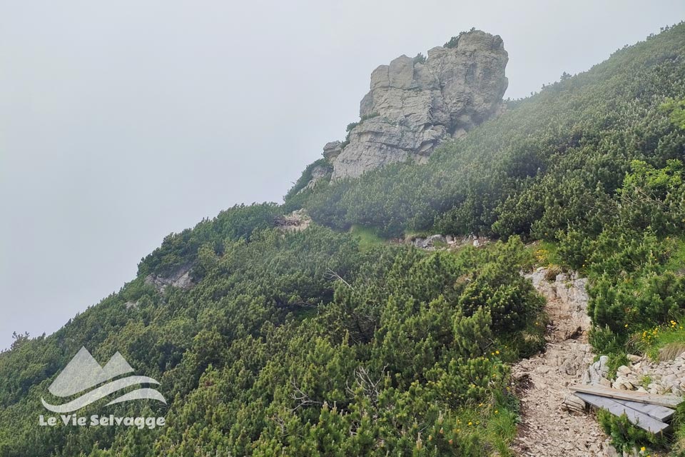 IMG 20240708 073645 960