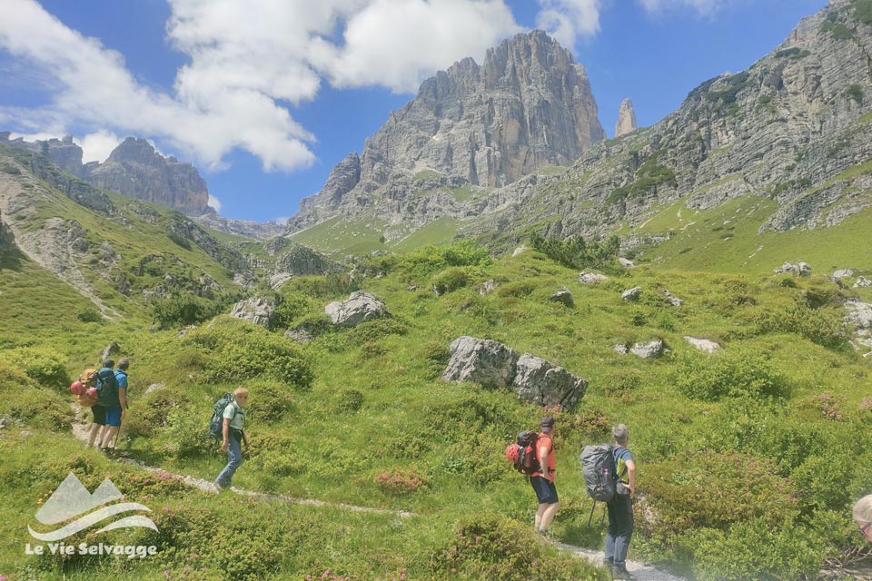 IMG20240720122341 960