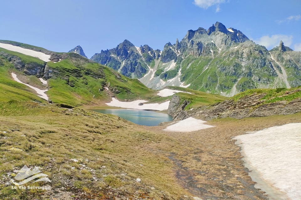 IMG 20240724 213532 960