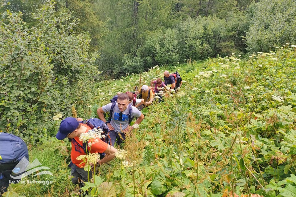 IMG20240727111448 960