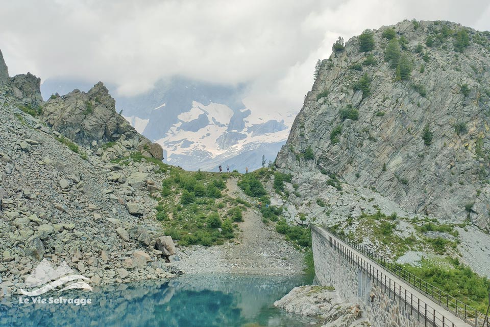 IMG20240727120257 960