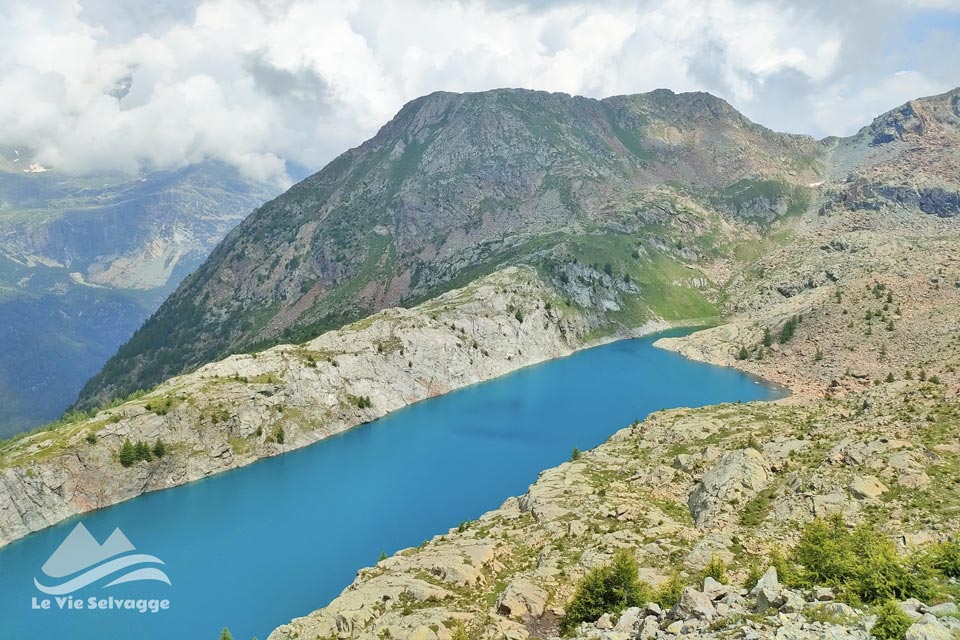 IMG20240727134434 960