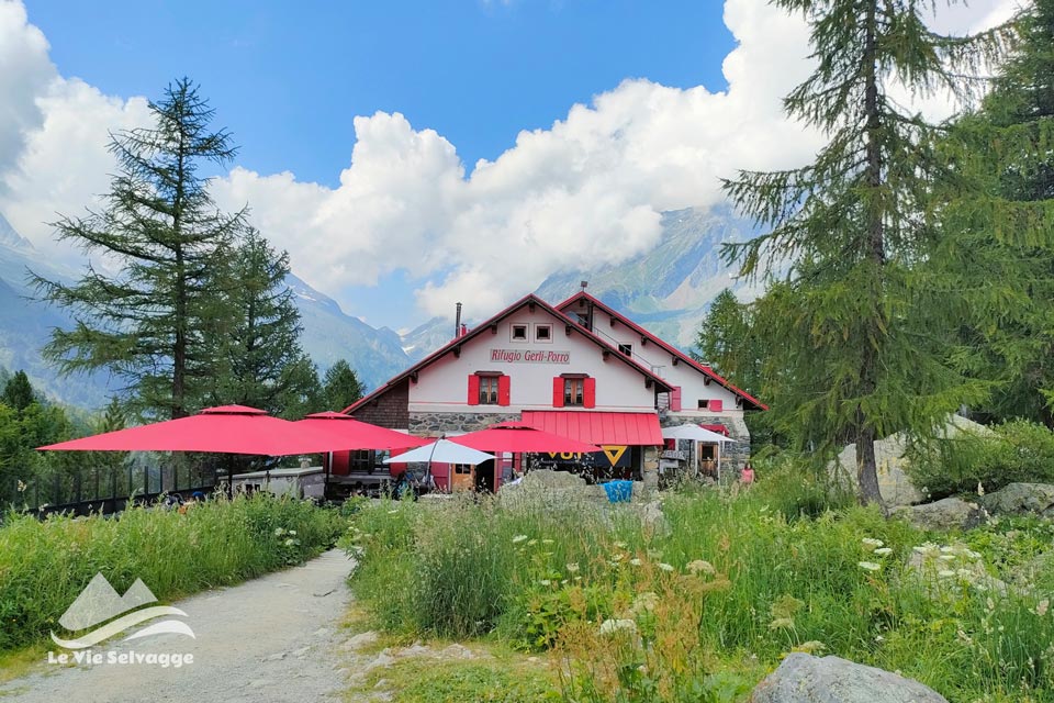 IMG20240727152601 960