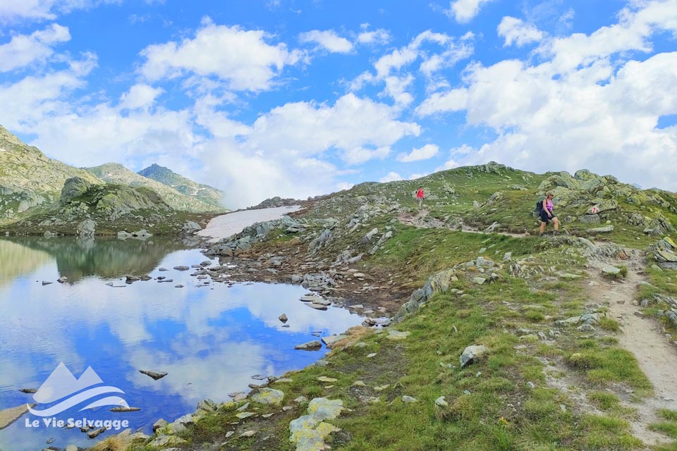 IMG 20240728 211717 960