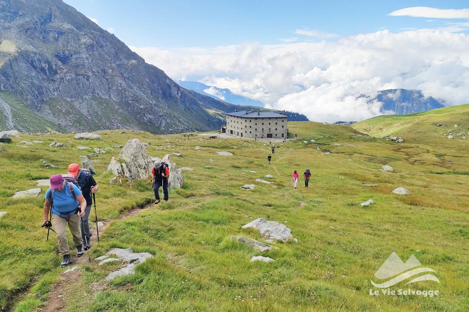 IMG 20240728 161933 960