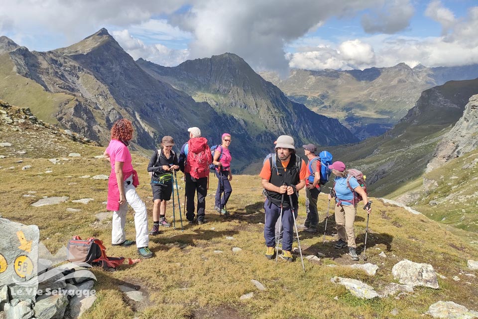 IMG 20240728 161933 960