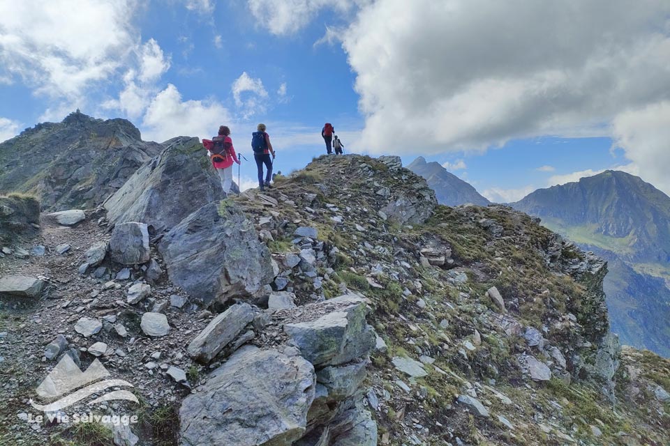 IMG 20240728 161933 960