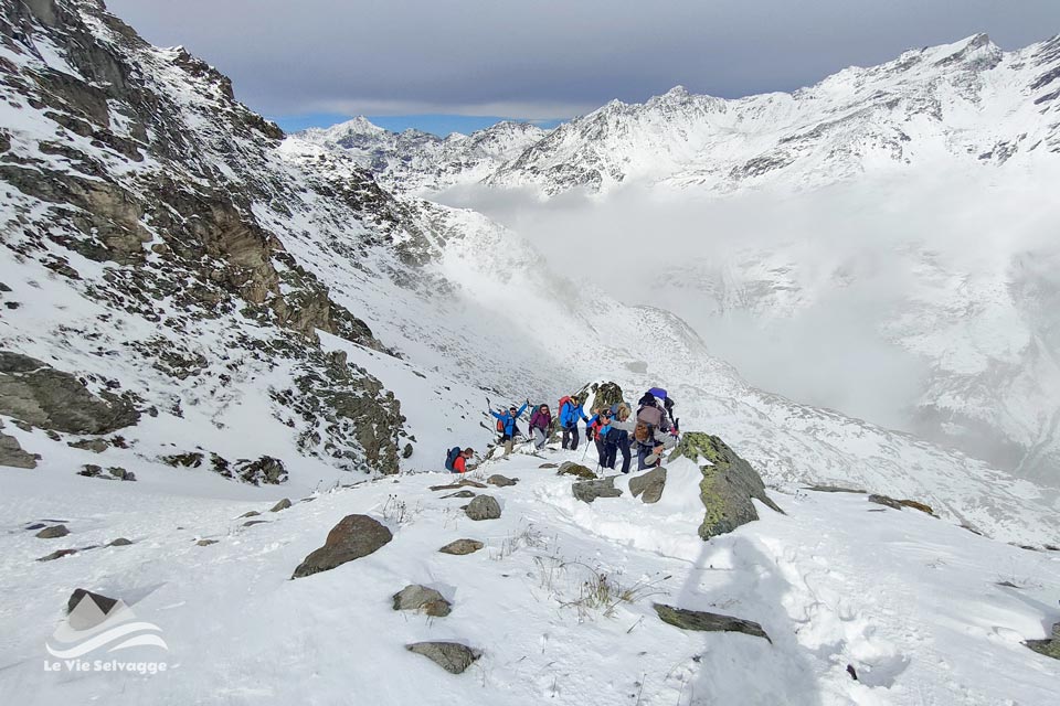 IMG 20240728 161933 960