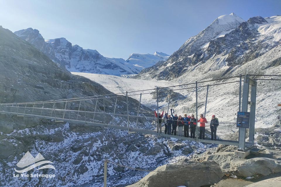 IMG 20240728 161933 960