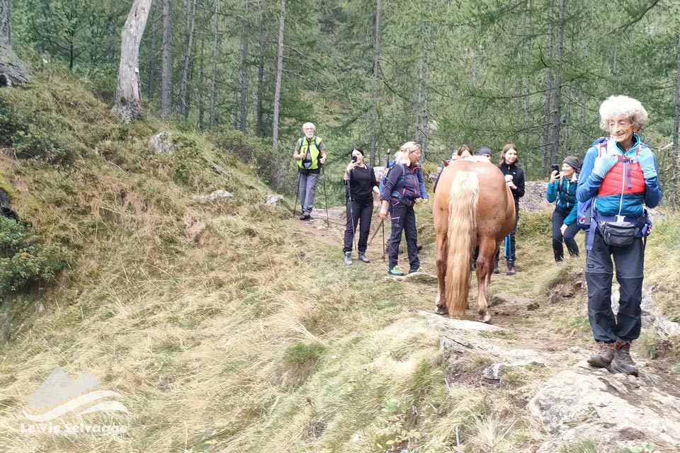 IMG 20240728 161933 960