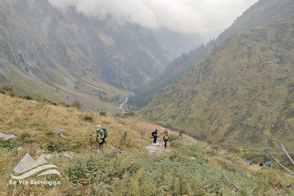 IMG 20240728 161933 960