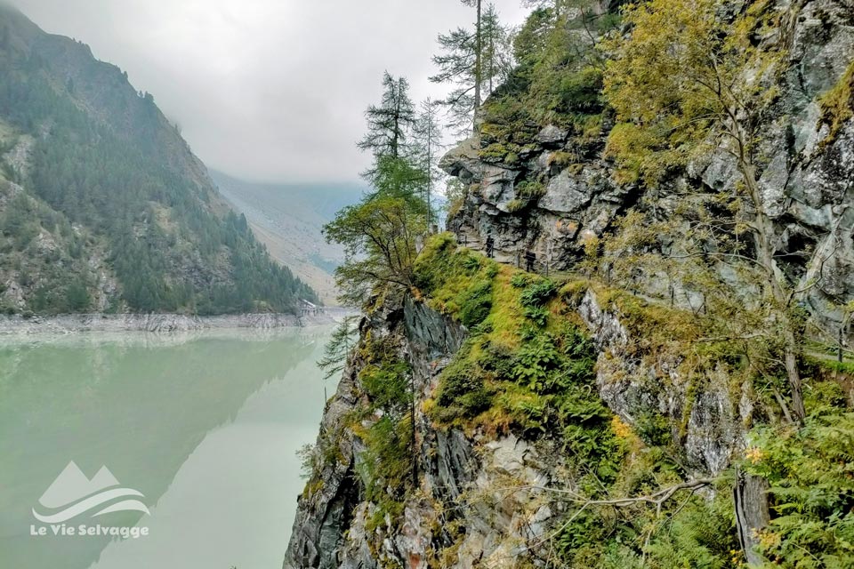 IMG 20240728 161933 960