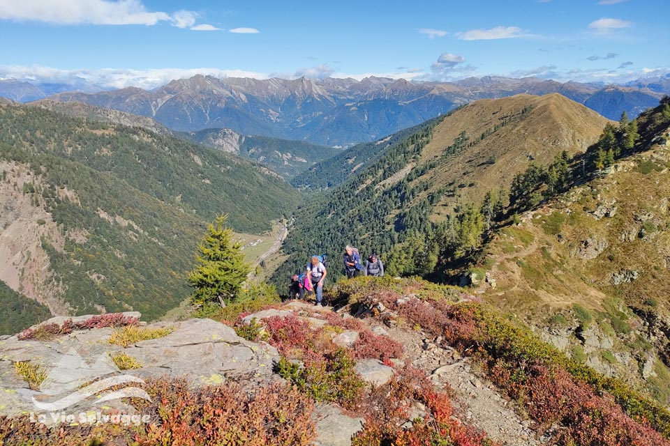 IMG20240928111901 960