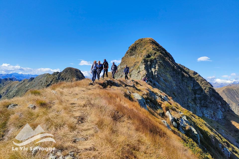 IMG20240928111901 960