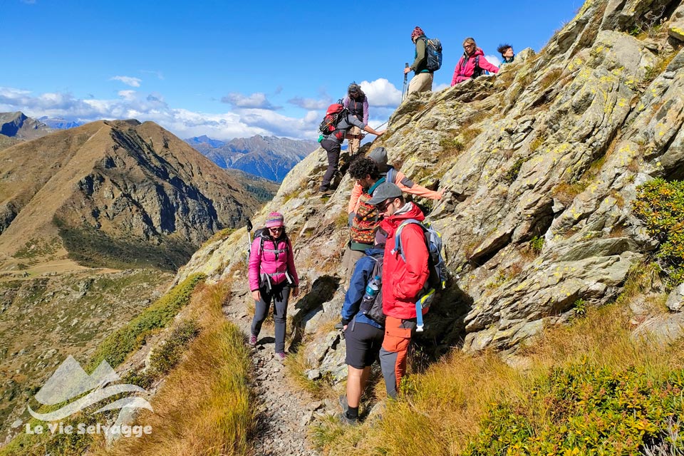 IMG20240928111901 960