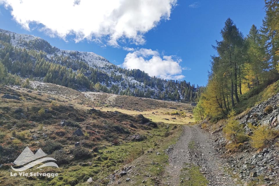 IMG20240928111901 960