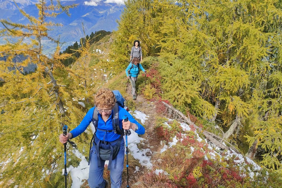 IMG20240928111901 960