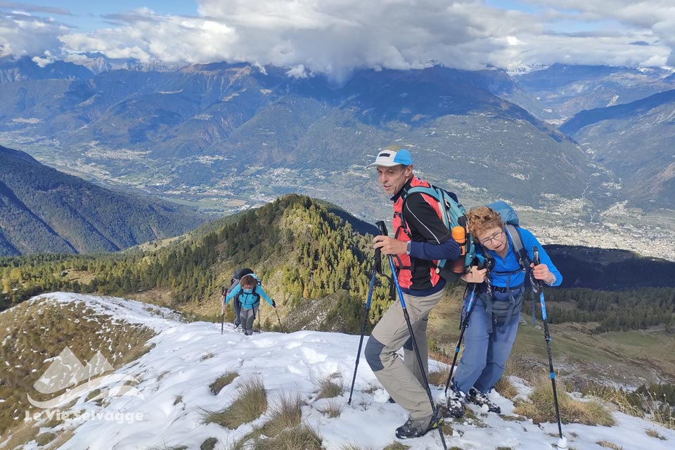 IMG20240928111901 960