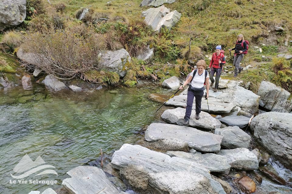 IMG20240928111901 960