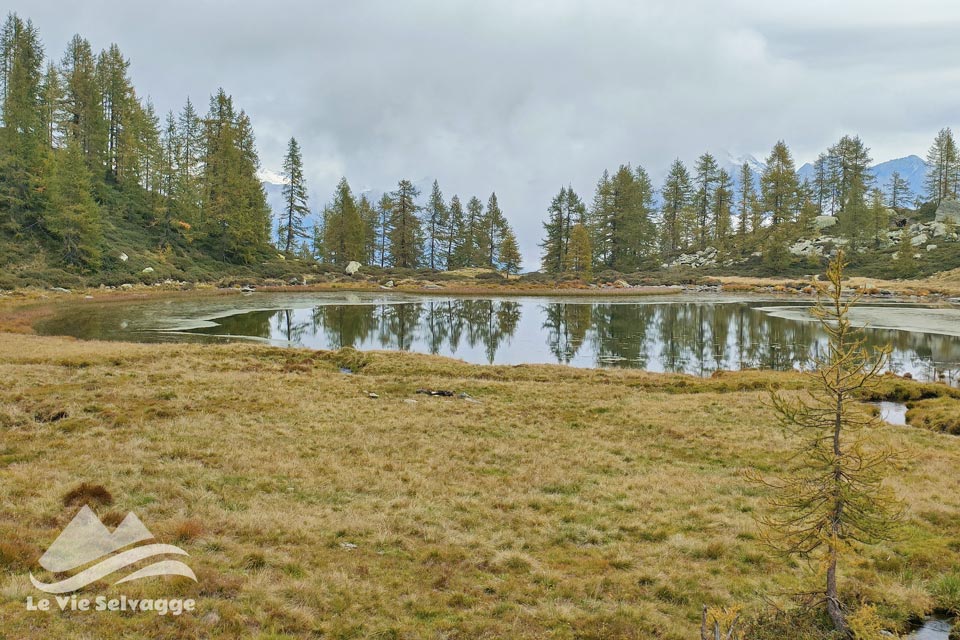 IMG20240928111901 960