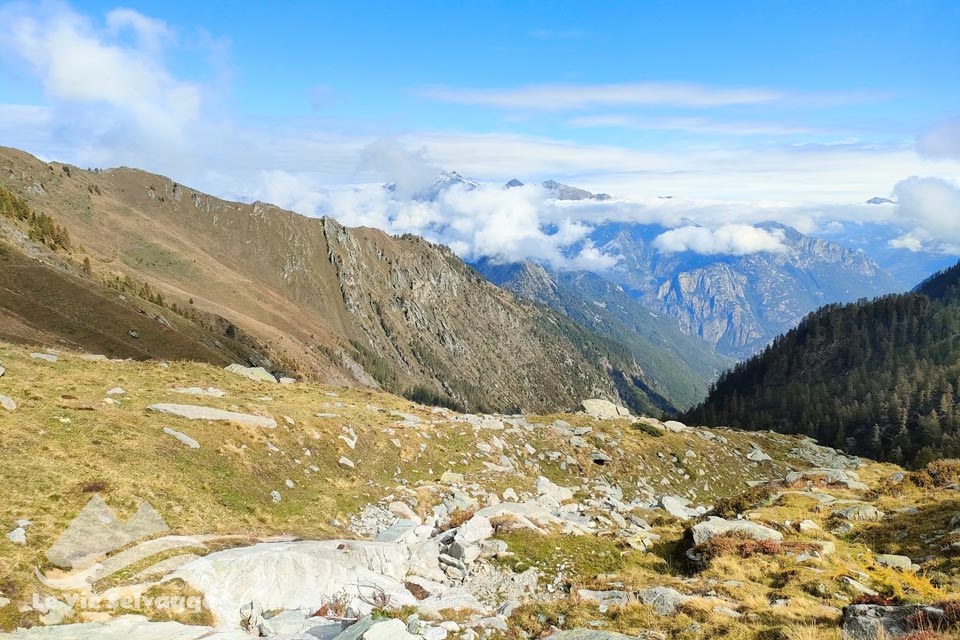 IMG20240928111901 960