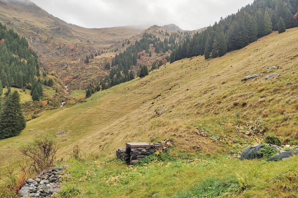 IMG20241012153836 960