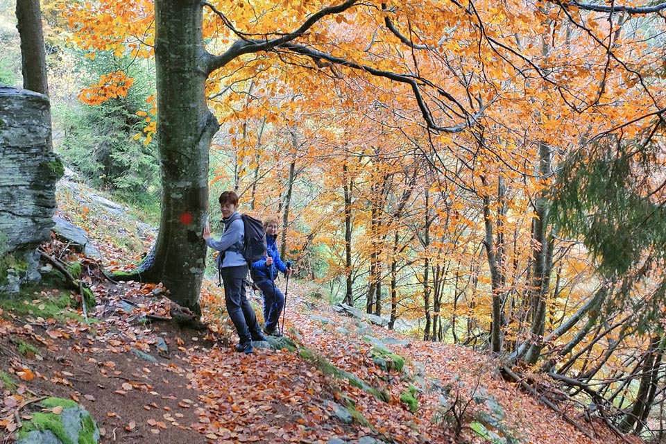 IMG20241012153836 960