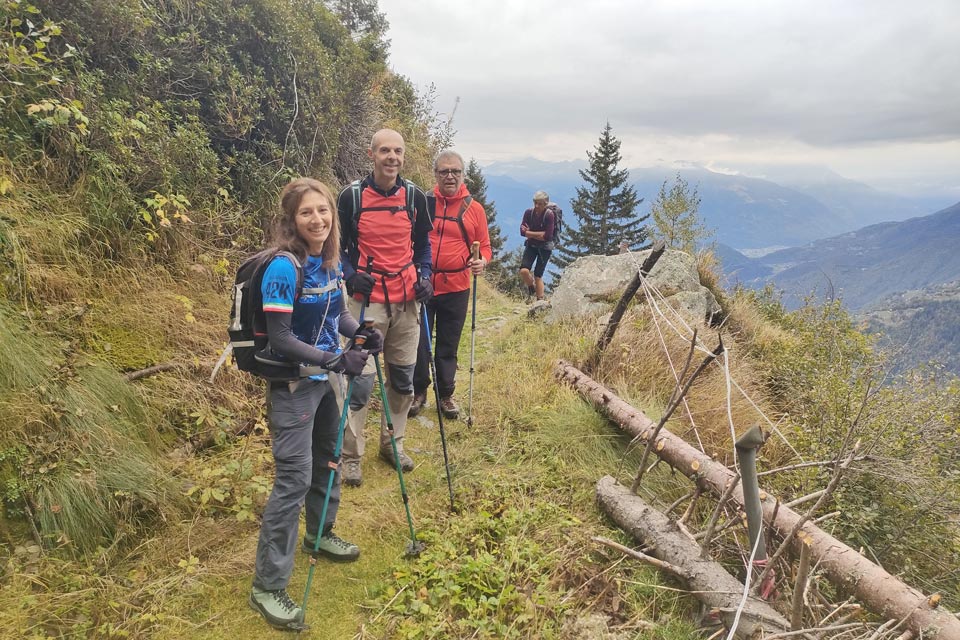 IMG20241012153836 960