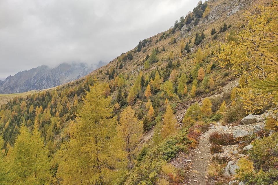 IMG20241012153836 960