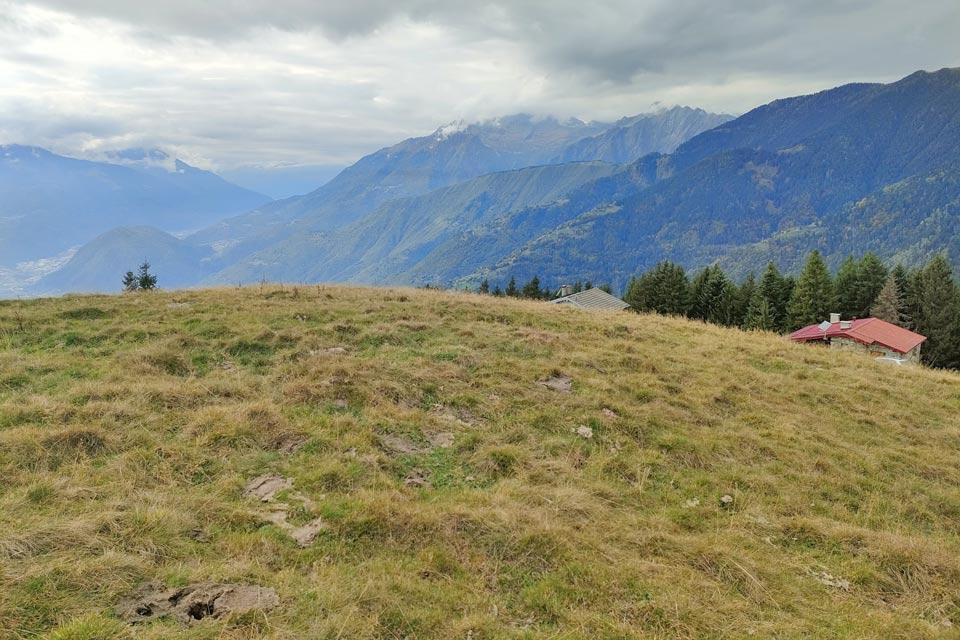 IMG20241012153836 960