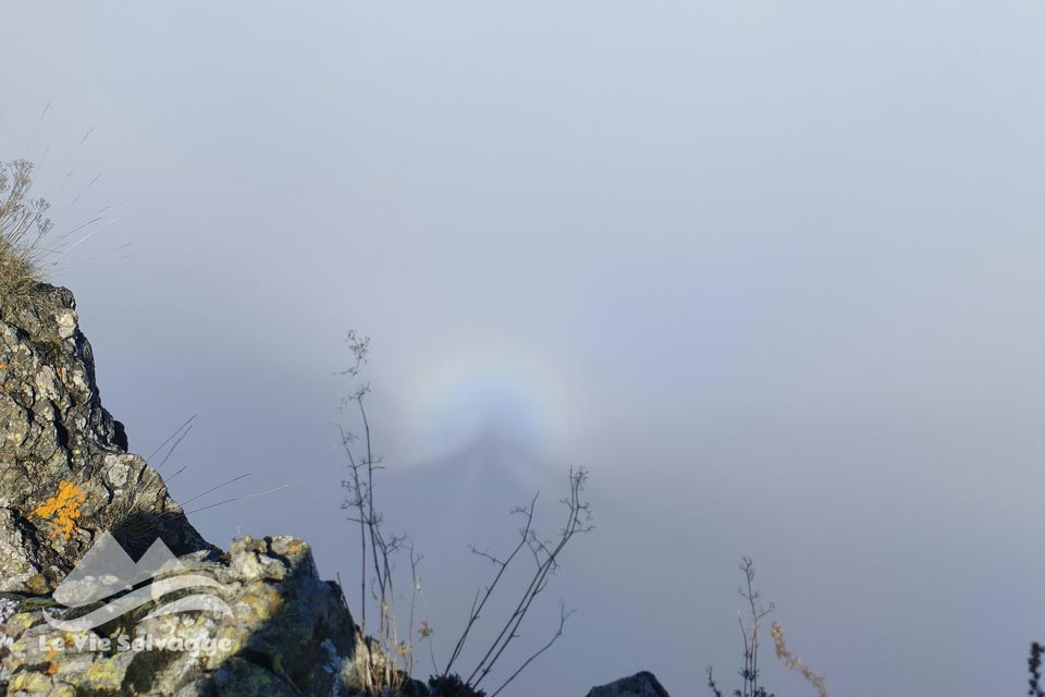 spettro di brocken