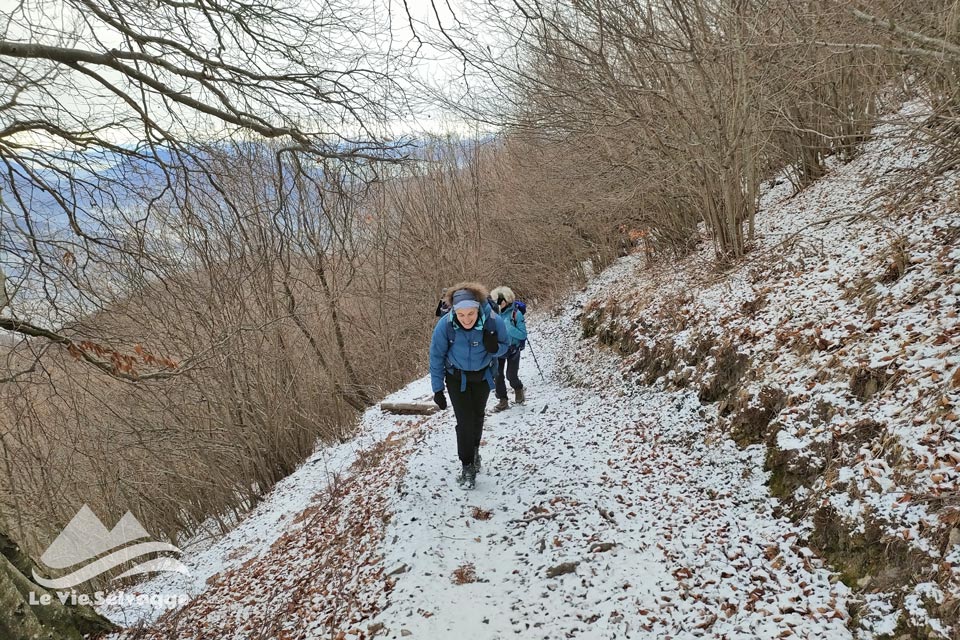 Escursione sul Monte Boglia la salita dal sentiero