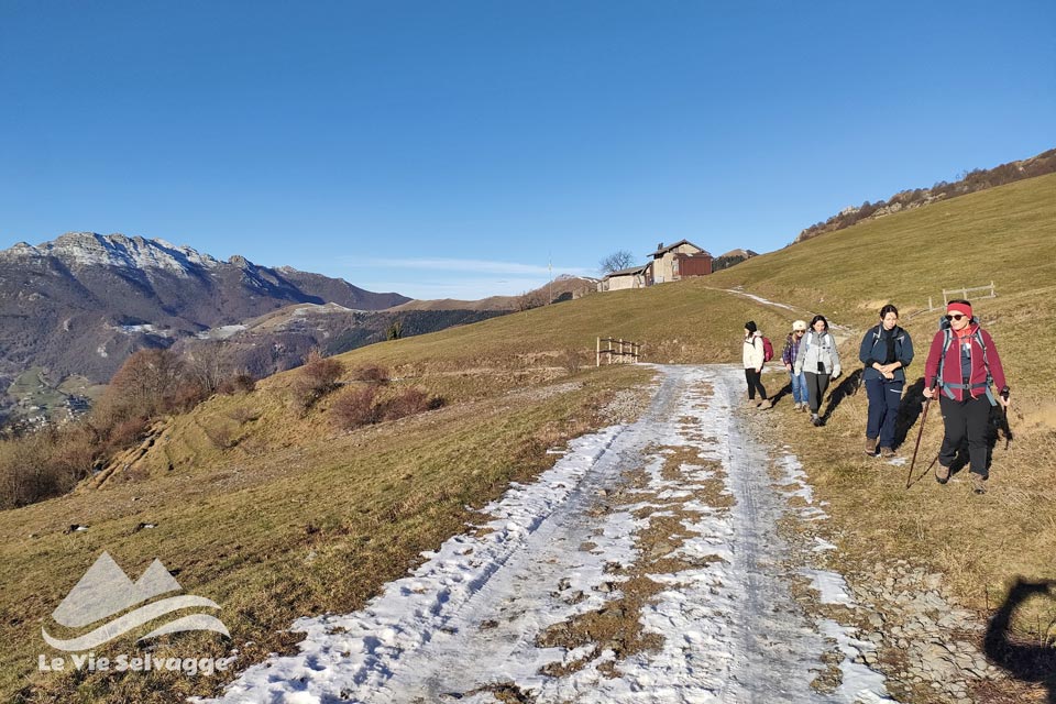 Escursione sullo Zucco di Valmana praterie