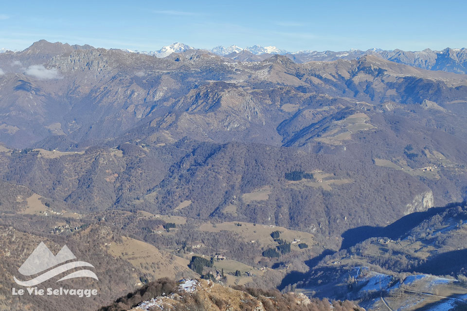 Il panorama dal Monte Resegone verso le retiche