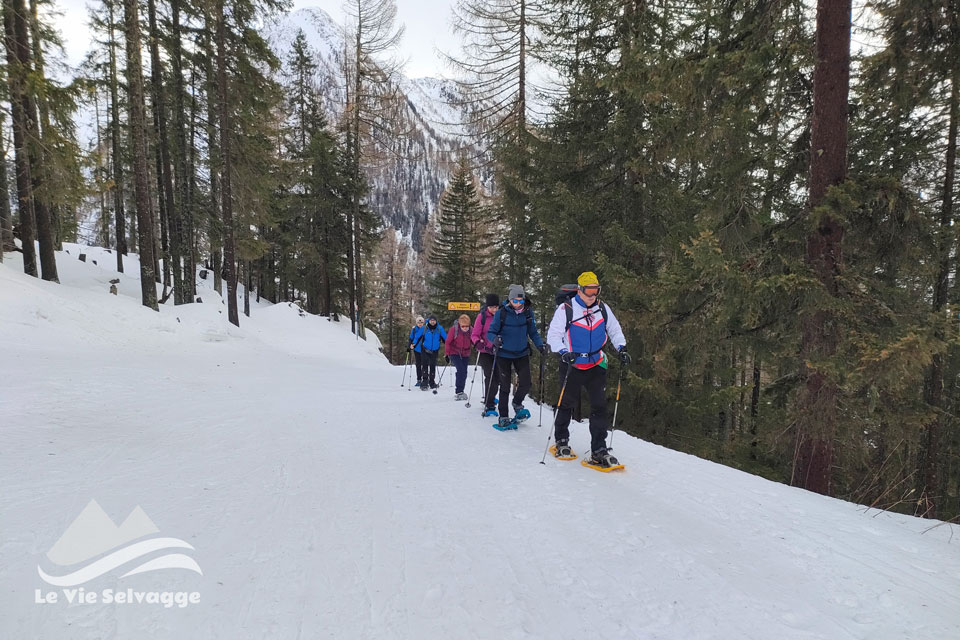 Ciaspolata a Rothwald