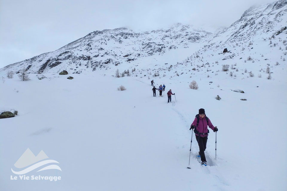 Ciaspolata a Rothwald maderlika