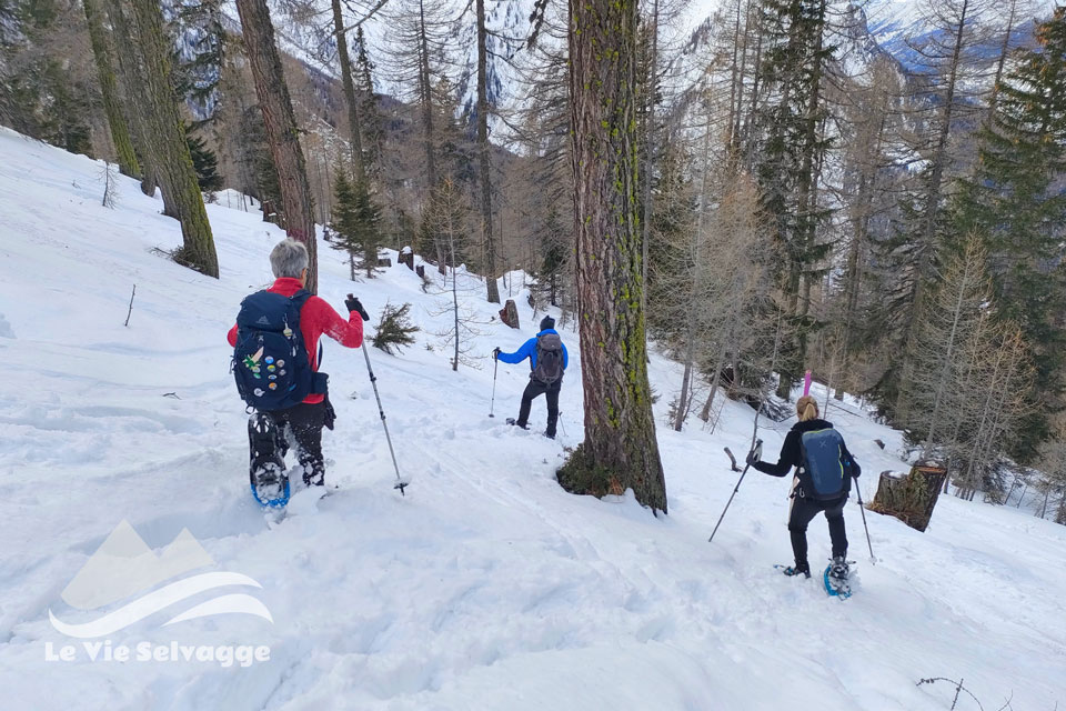 Ciaspolata a Rothwald discesa divertente