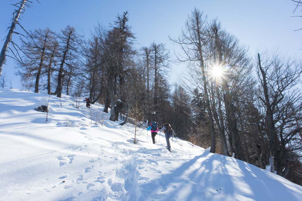 cresta innevata cima val vigezzo