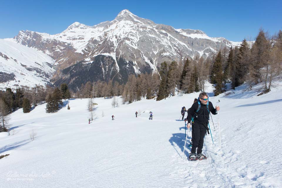 Laghi del Suretta fuori dal bosco