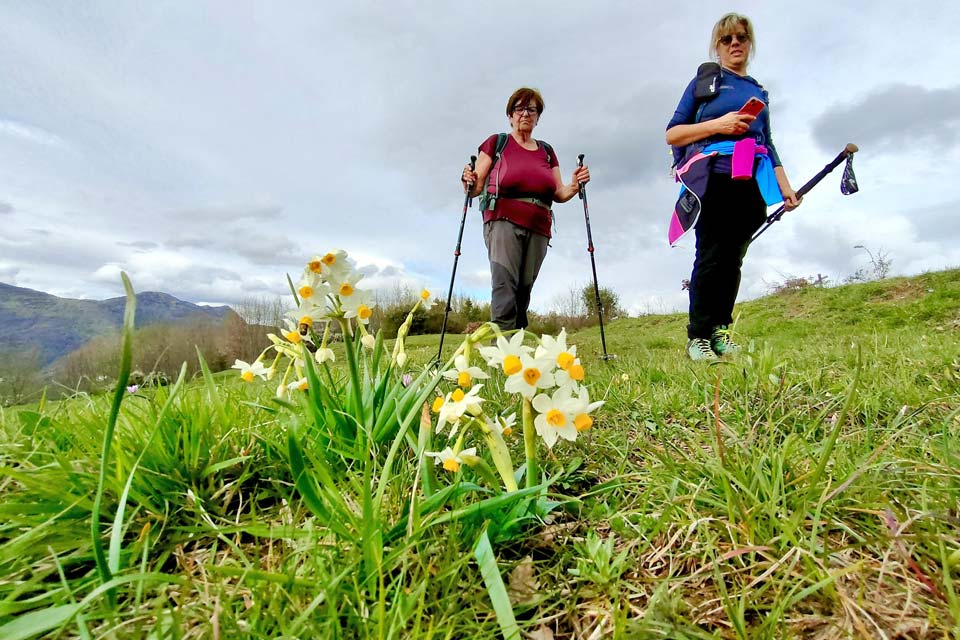 Escursione a Sori la fioritura