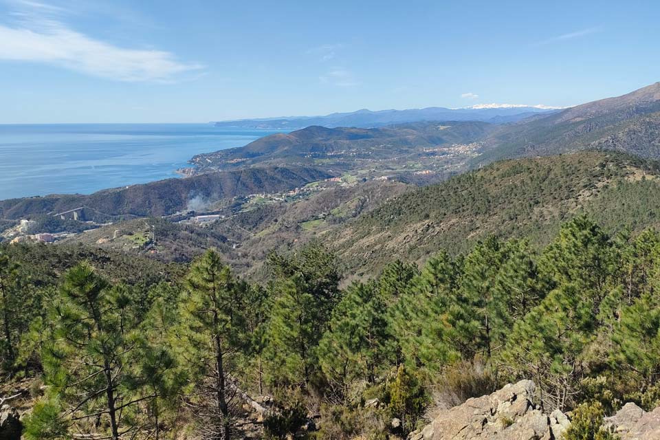 Escursione sulle tardie