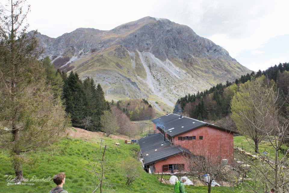 Alpi Apuane Rifugio del Freo Pania della Croce
