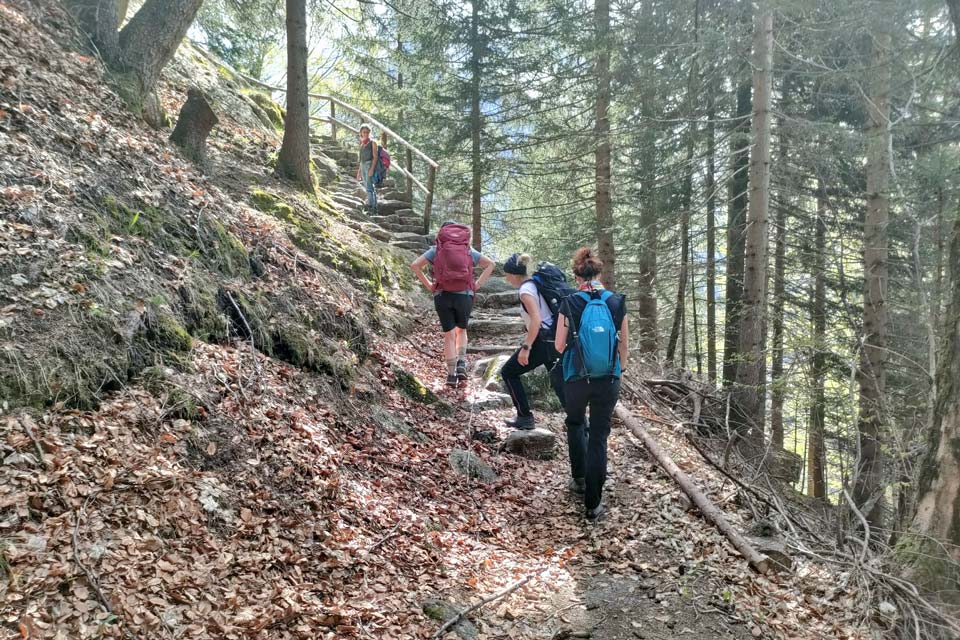 Salendo in Val di Zocca