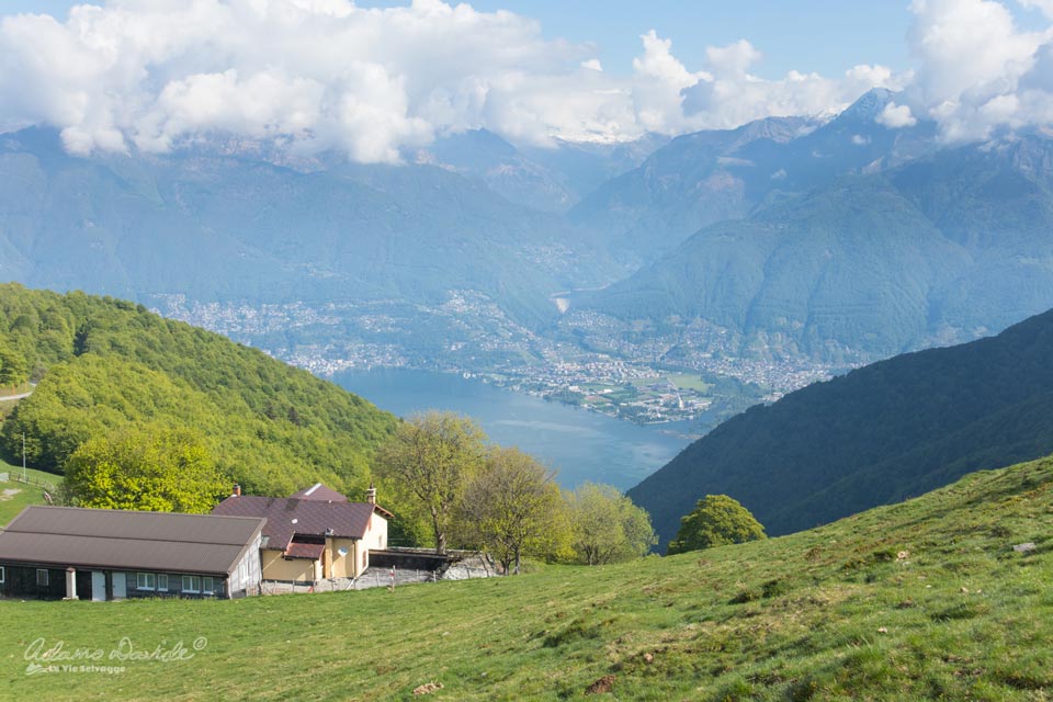 Monte Tamaro alpe neggia