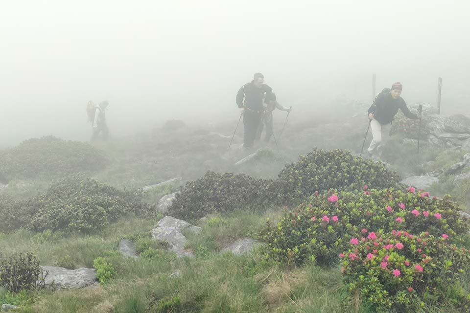 Sasso canale nella nebbia