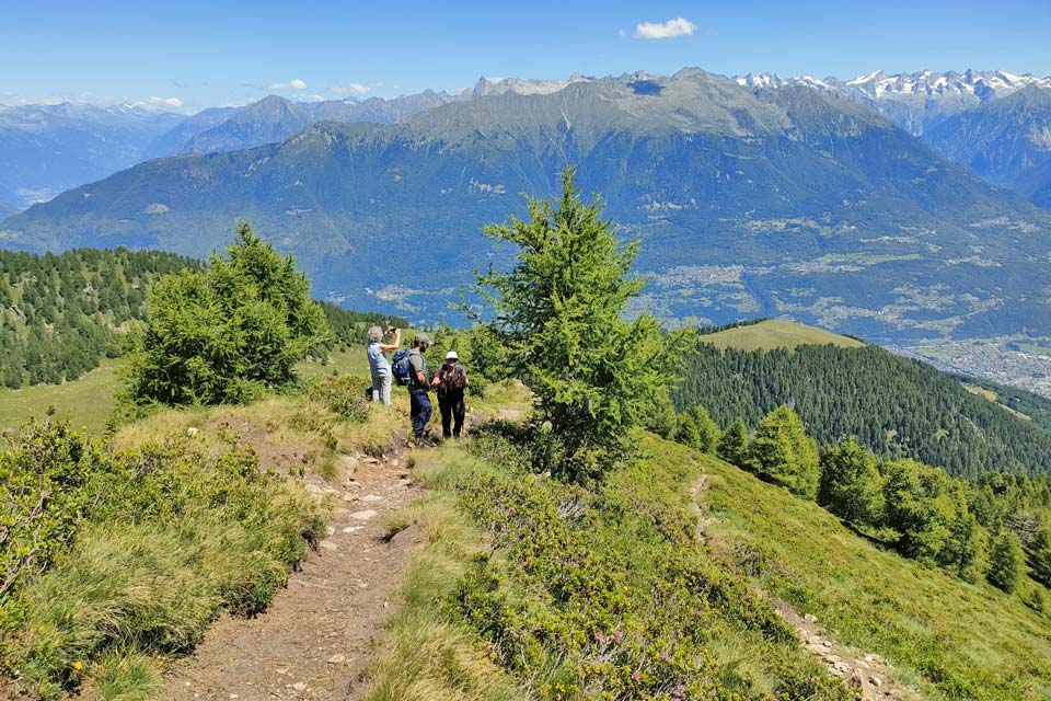 Cima rosetta panorama